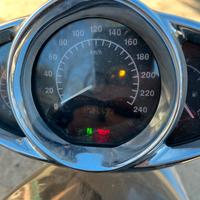 Harley Davidson v rod