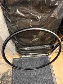 Fulcrum zero anteriore