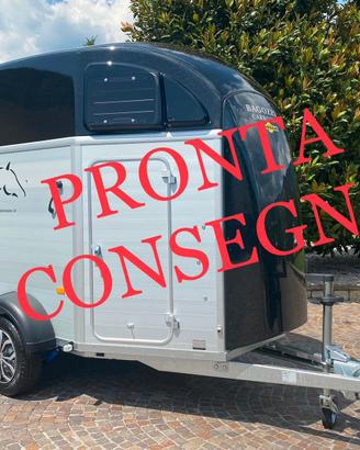 Trailer van per cavalli xantos aero rampa western