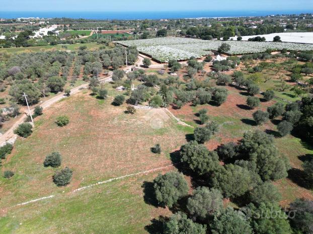 TER. AGRICOLO A POLIGNANO A MARE