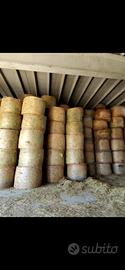 Fieno rotoli/rotoballe