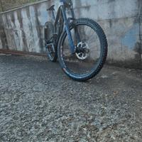 YT tues Tg. L