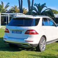 Mercedes ml 250 bluetec edition 16