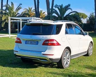 Mercedes ml 250 bluetec edition 16