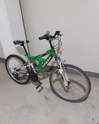 Bicicletta