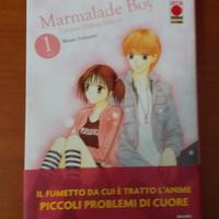 Libro Marmalade Boy
