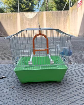voliera uccelli piccoli