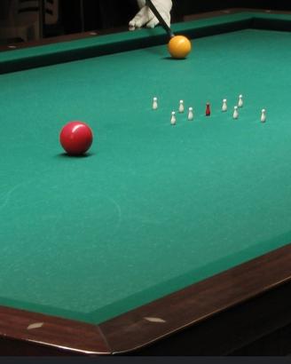biliardo internazionale