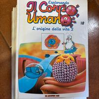 Collezione di esplorando il corpo umano