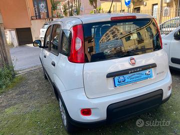 Fiat Panda N1 4 posti