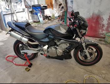 Honda hornet