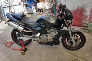 Honda hornet