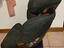 Immagine 2