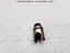 Immagine 14