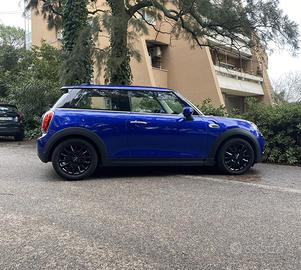 MINI ONE - NEOPATENTATI - blu elettrico - OFFERT