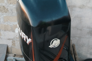 Mercury EFI 115 4t con solo 187 ore