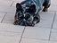Immagine 4