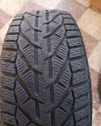 225 60 R17 invernali 