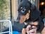 Immagine 1