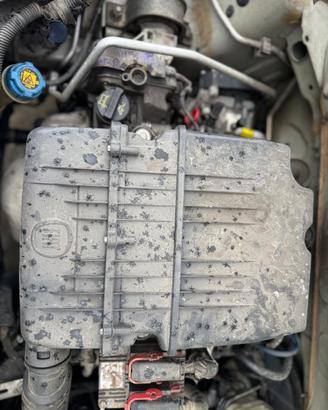 Motore usato FIAT PANDA 2011 169A4000 Cil 1242 KW 