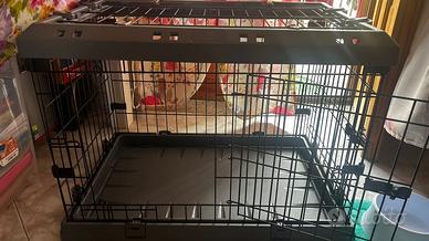 Box Pieghevole per Cani Superior Nero kennel