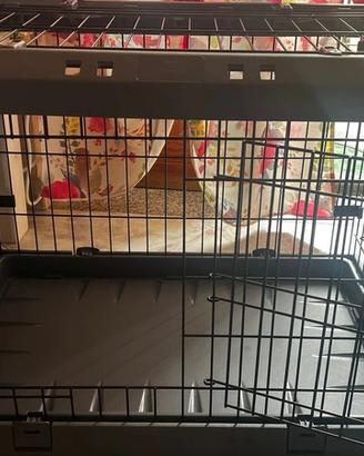 Box Pieghevole per Cani Superior Nero kennel