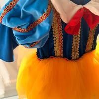 Vestito carnevale bambina