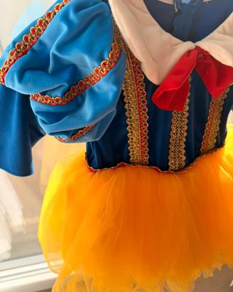 Vestito carnevale bambina