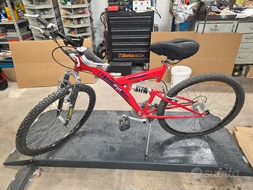 Bicicletta Mountain bike