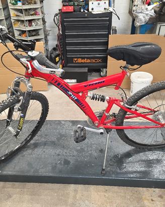 Bicicletta Mountain bike