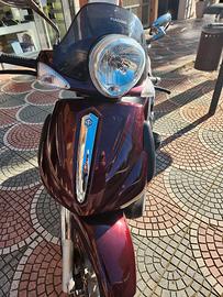 beverly 500 perfetto