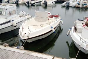 bluline 19 con motore selva murena 