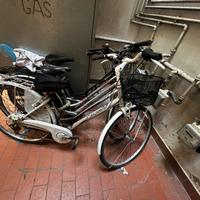 Bicicletta