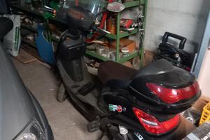 Bici elettrica