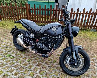 BENELLI LEONCINO 500