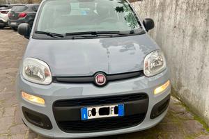 Panda hybrid marzo 2022