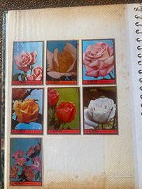 Francobolli emirati arabi