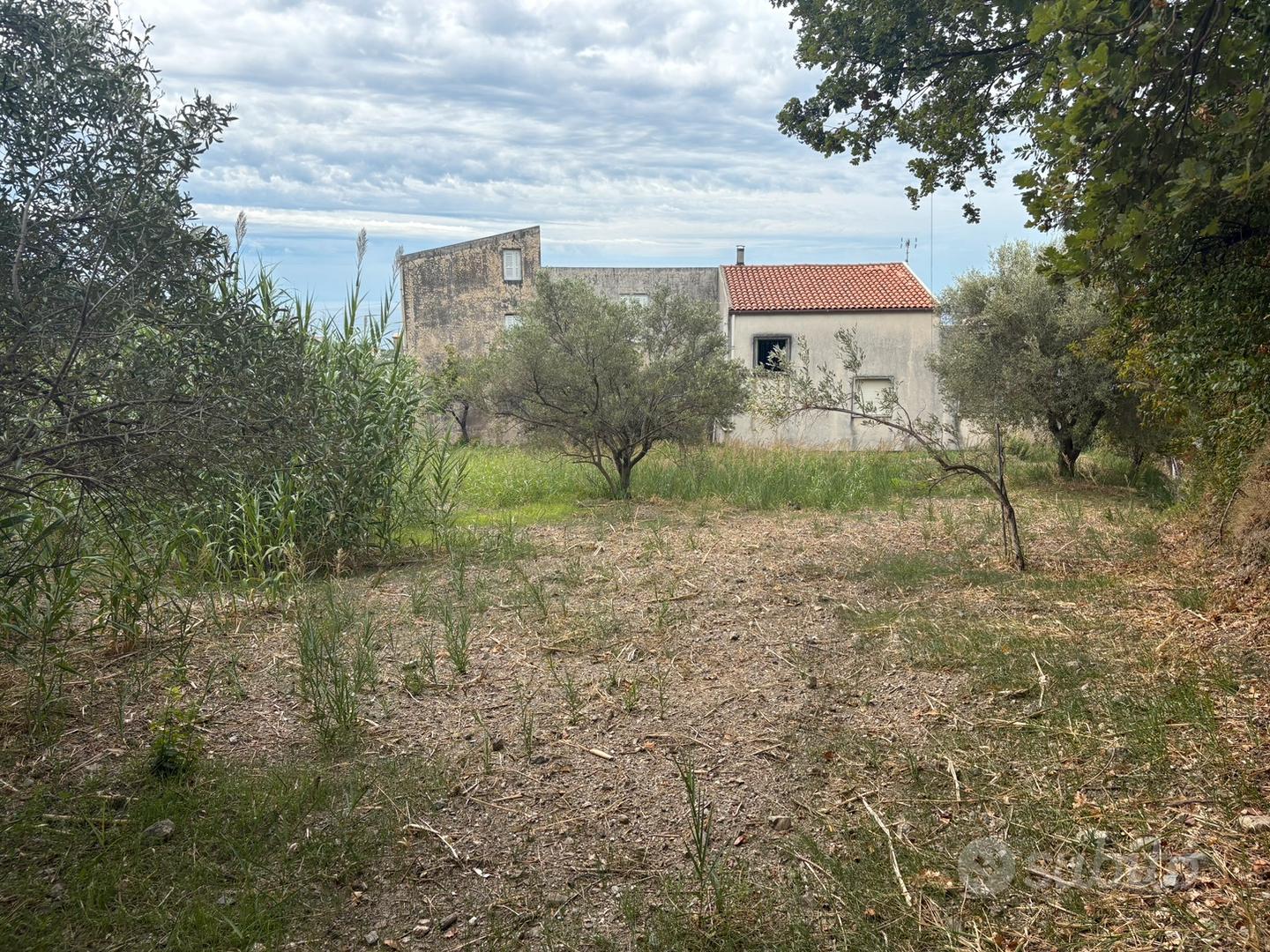 Appartamento + Palmento + Uliveti + Terreno - Vista 5