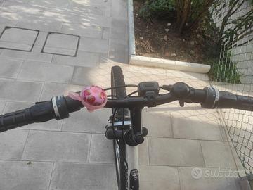 Bicicletta per ragazza/o