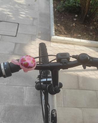 Bicicletta per ragazza/o