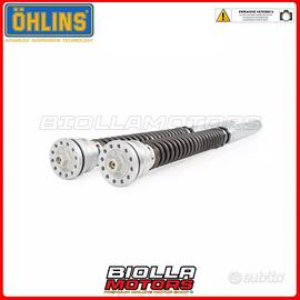 Cartuccia Holins TTX FKR