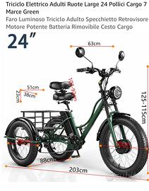 Bici elettrica triciclo