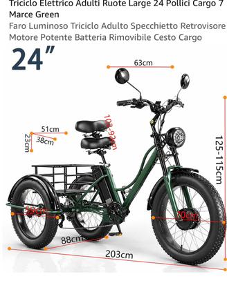 Bici elettrica triciclo