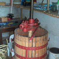 TORCHIO PER MOSTO