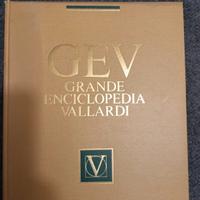 Enciclopedia Vallardi + Il Leonardo 