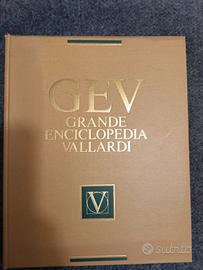 Enciclopedia Vallardi + Il Leonardo 