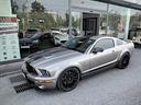 mustang-mustang-shelby-gt-500