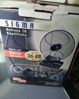 Antenna TV SIGMA Amplificata