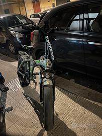 Bici Elettrica reset