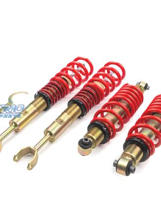 SOSPENSIONE FILETTATA EIBACH MTS AUDI A4 B5 94-01 
